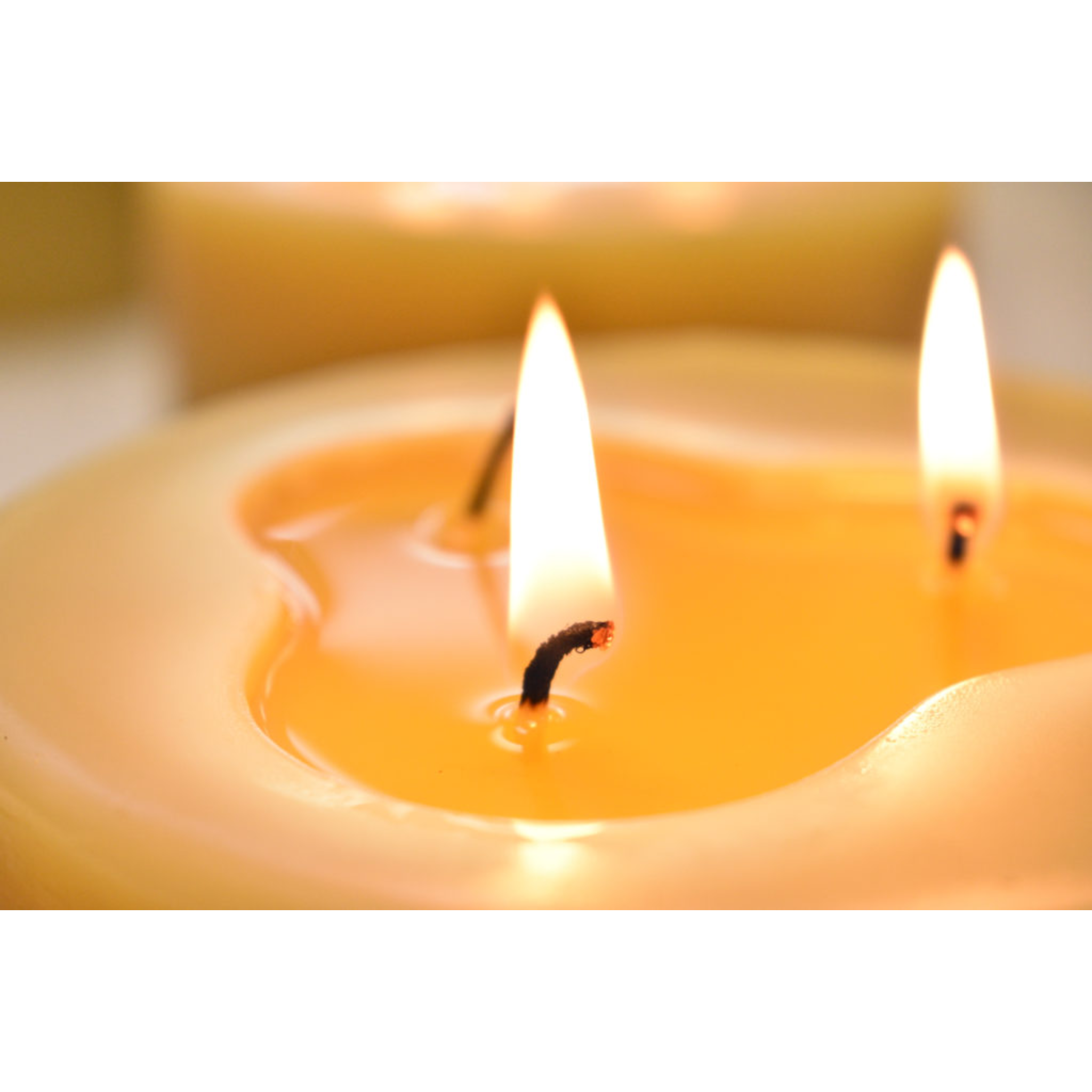 Joan's Beeswax Saskatoon Herbs 'n Health