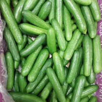 Organic Cucumbers 2lb