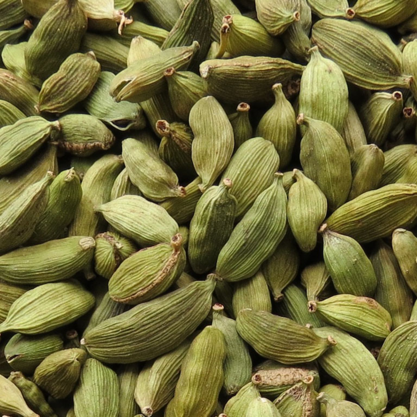 Health First Ground Cardamon 50g