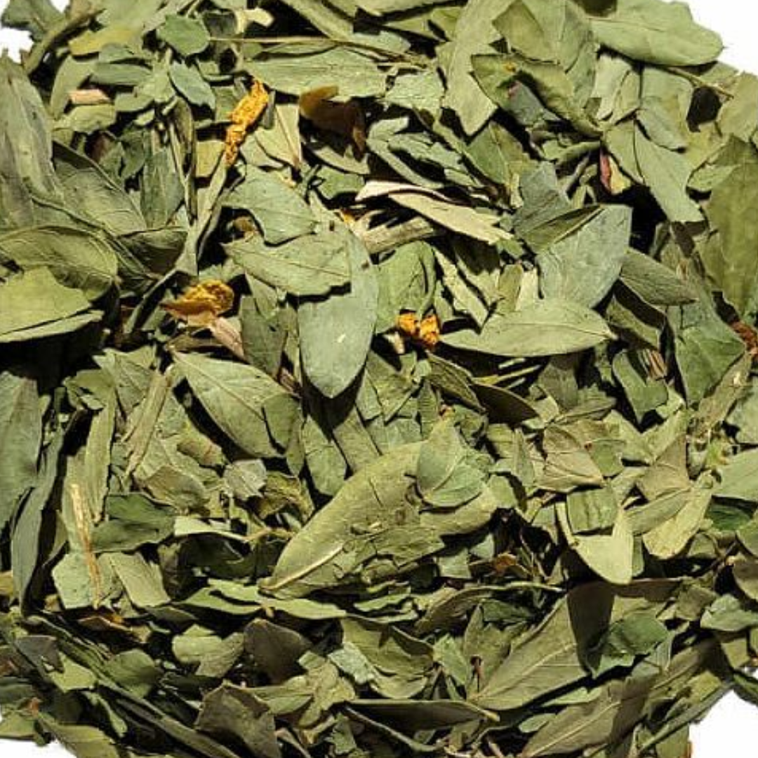 Senna Leaves 50G