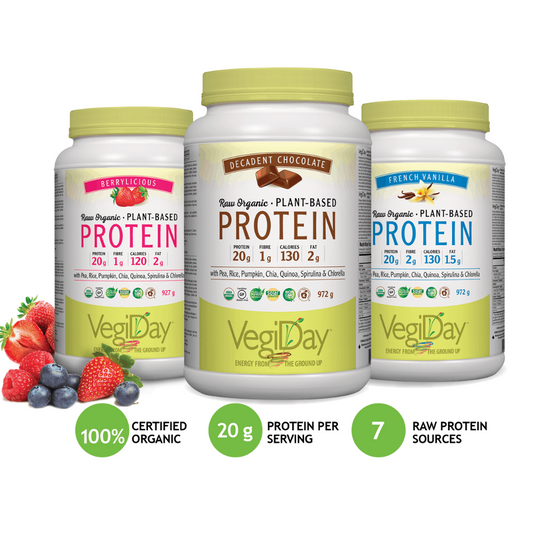 VegiDay Vegan Organic All-In-One Protein Chocolate 860g