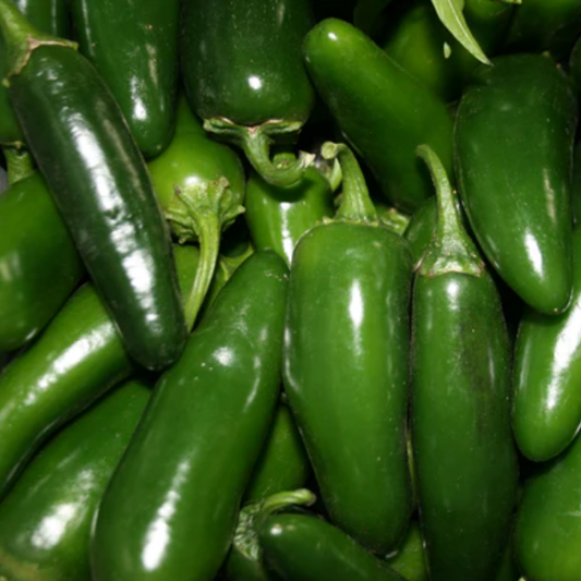 Organic Jalapeno (sold by weight)