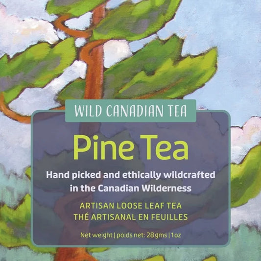 Wild Canadian Pine Tea
