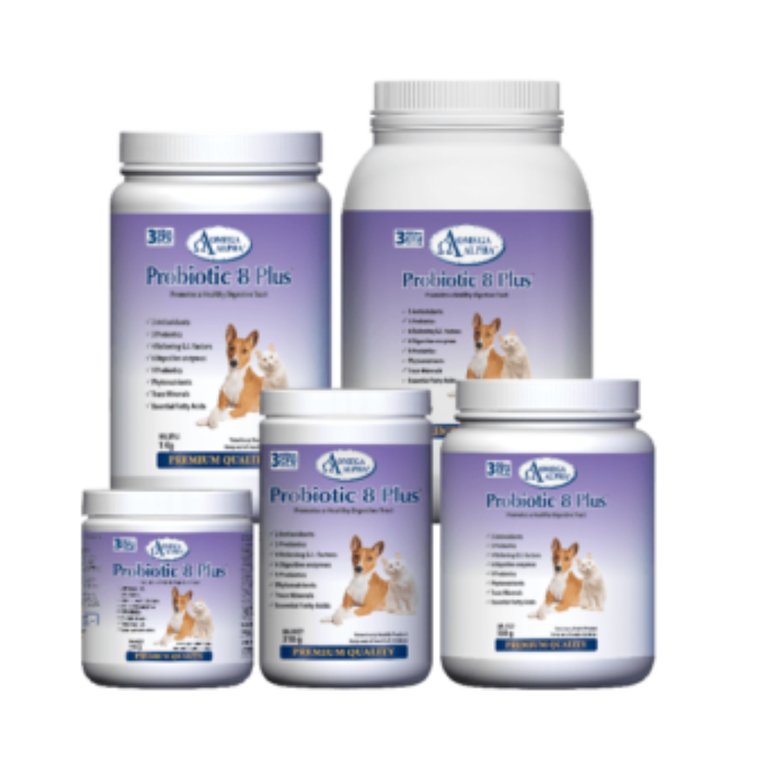 Omega Alpha Probiotic 8 Plus