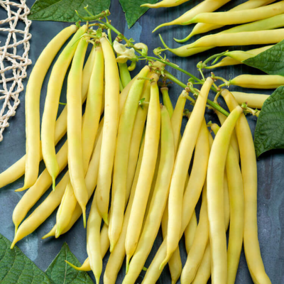 Organic Yellow Beans 1lb