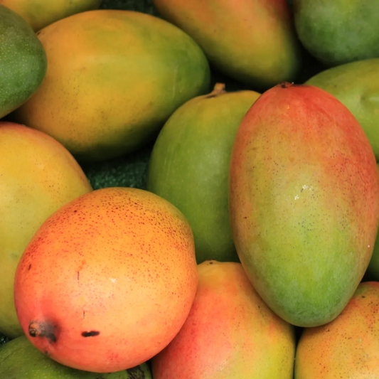 Organic Mango (Kent)
