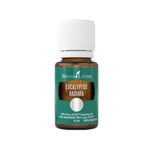 Young Living Eucalyptus Radiata 15ml