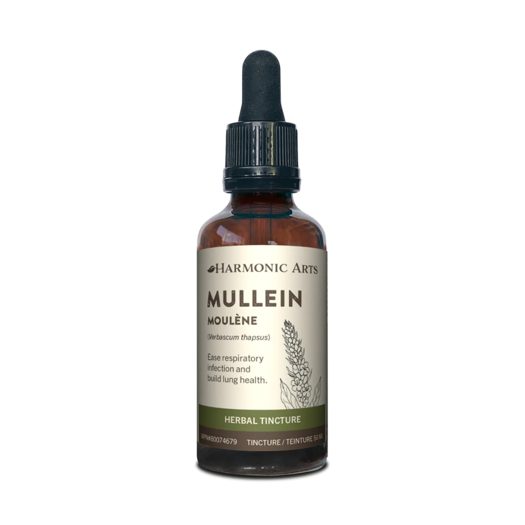 Harmonic Arts Mullein Tincture 100ml