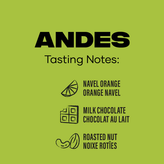 Level Ground Andes Medium Roasted Coffee 300g