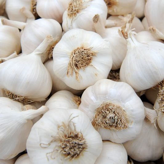 Organic Garlic (sold by weight)