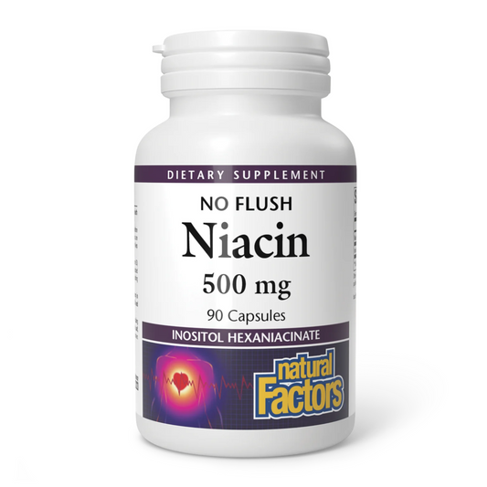 Natural Factors Niacin 90 Capsules