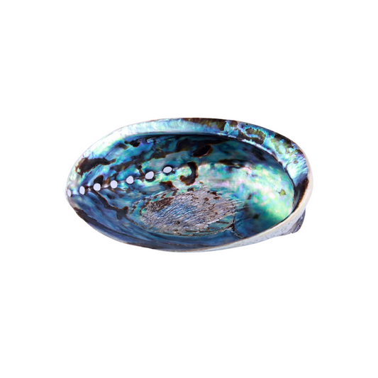 Abalone Shell For Cleansing