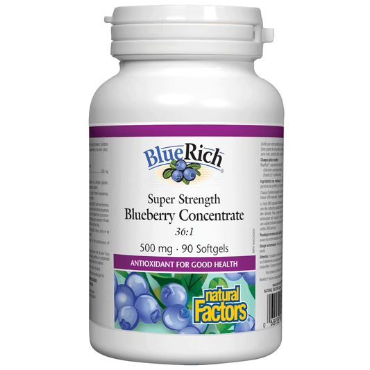 Natural Factors Blueberry Concentrate 90 Softgels