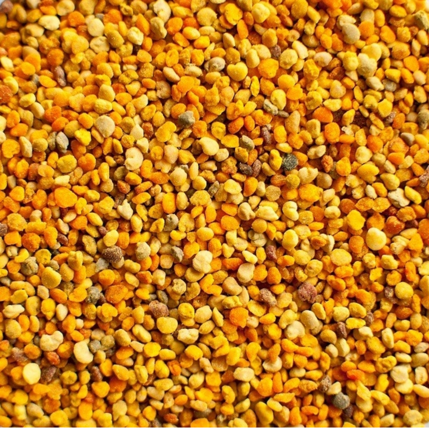 Canadian Bee Pollen 500g