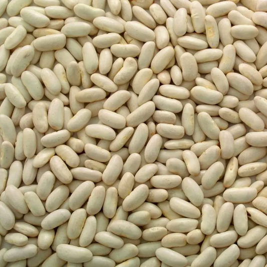 Cannellini Beans (Organic) 450g