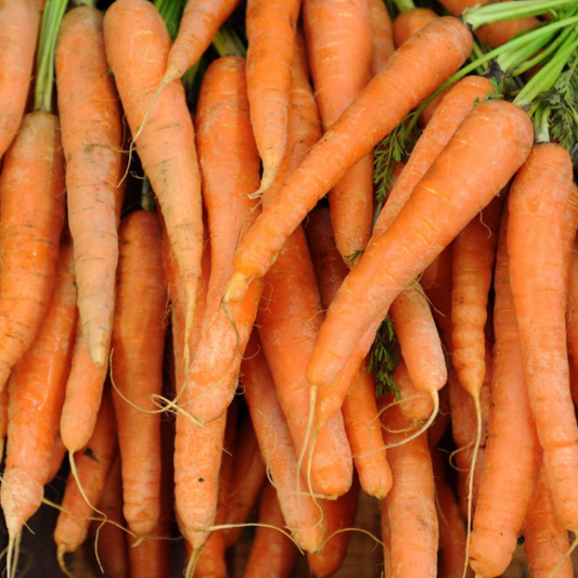 Organic Carrots 2Lbs