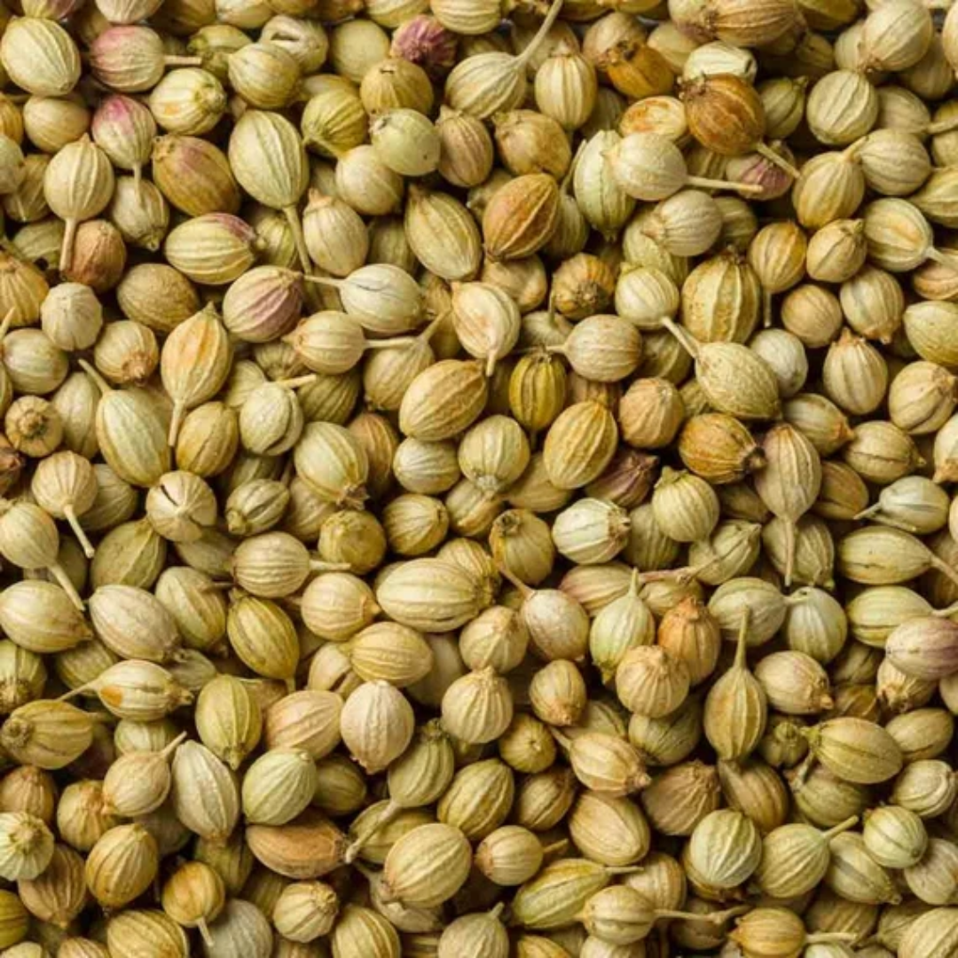 Coriander Seeds (Organic) 75G
