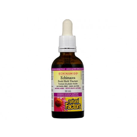 Natural Factors Echinamide Anti-Cold Alcohol-Free Tincture- Berry 50ml