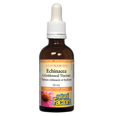 Natural Factors Echinamide Echinacea & Goldenseal Tincture 50mL