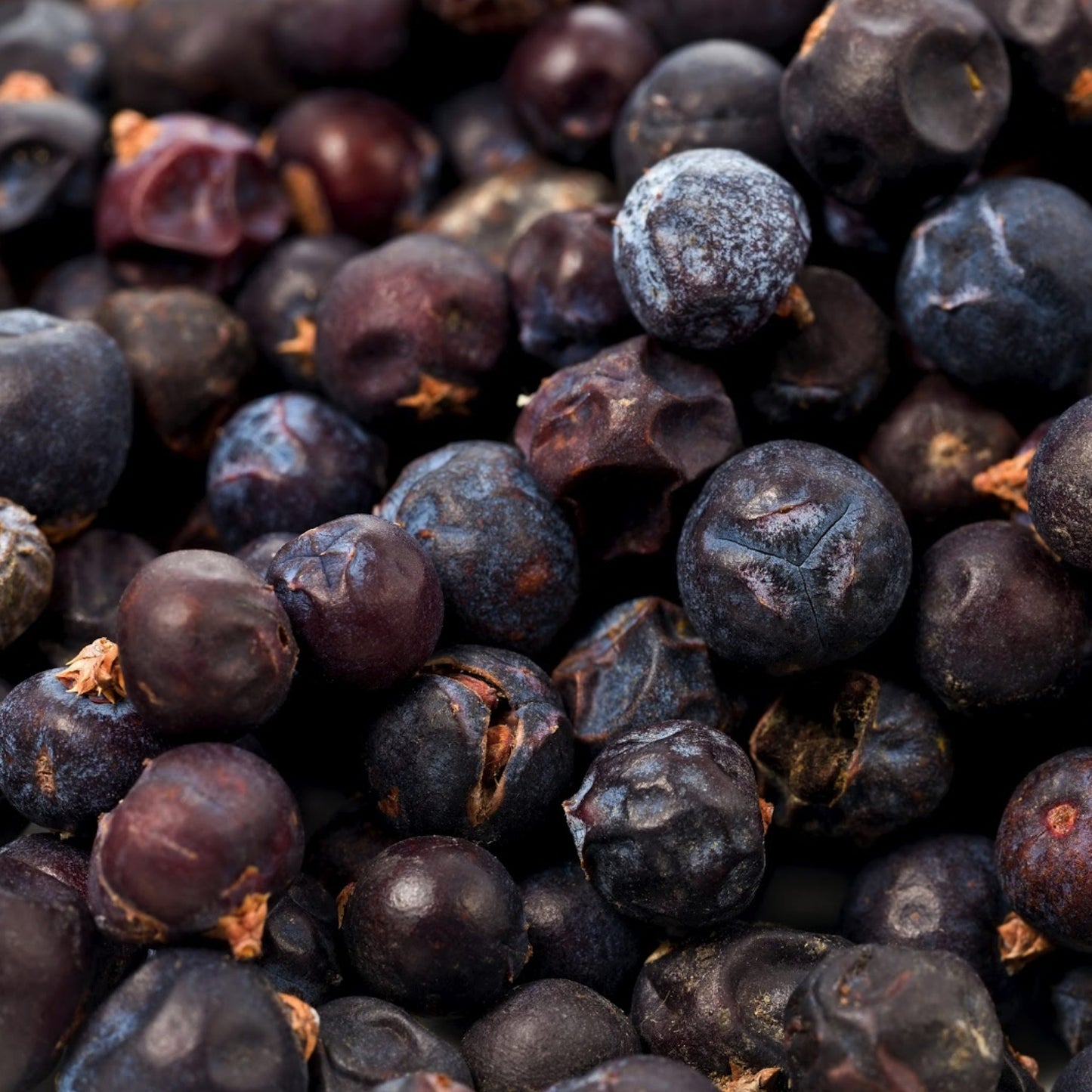 Juniper Berries 50G