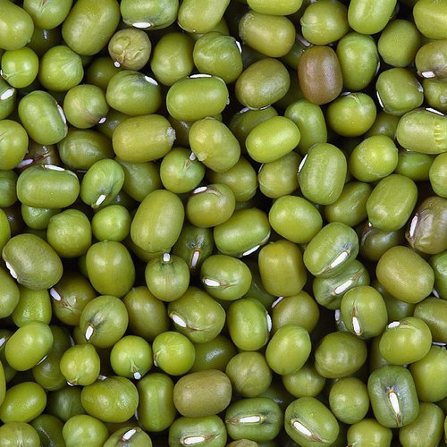Mung Beans (Organic) 1kg