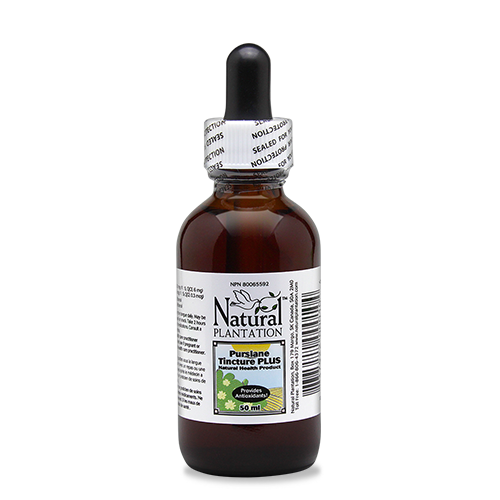 Natural Plantation Purslane Tincture 50ml