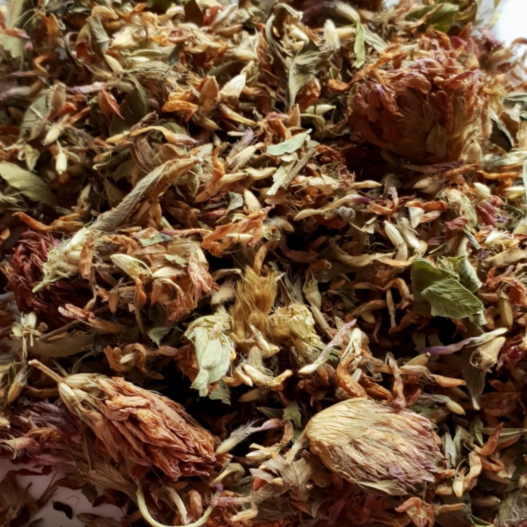 Red Clover Flowers 100G
