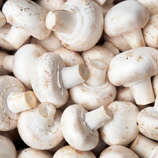Organic White Mushrooms 227g